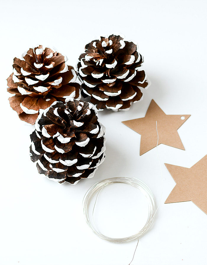 Pine Cone Place Card Holder. Pine Cone Christmas Tree Place Card Holder. How To Paint Pine Cones. Painted Snowy Pine Cones DIY Project. Christmas Table Setting in Navy, Brown and Burlap.