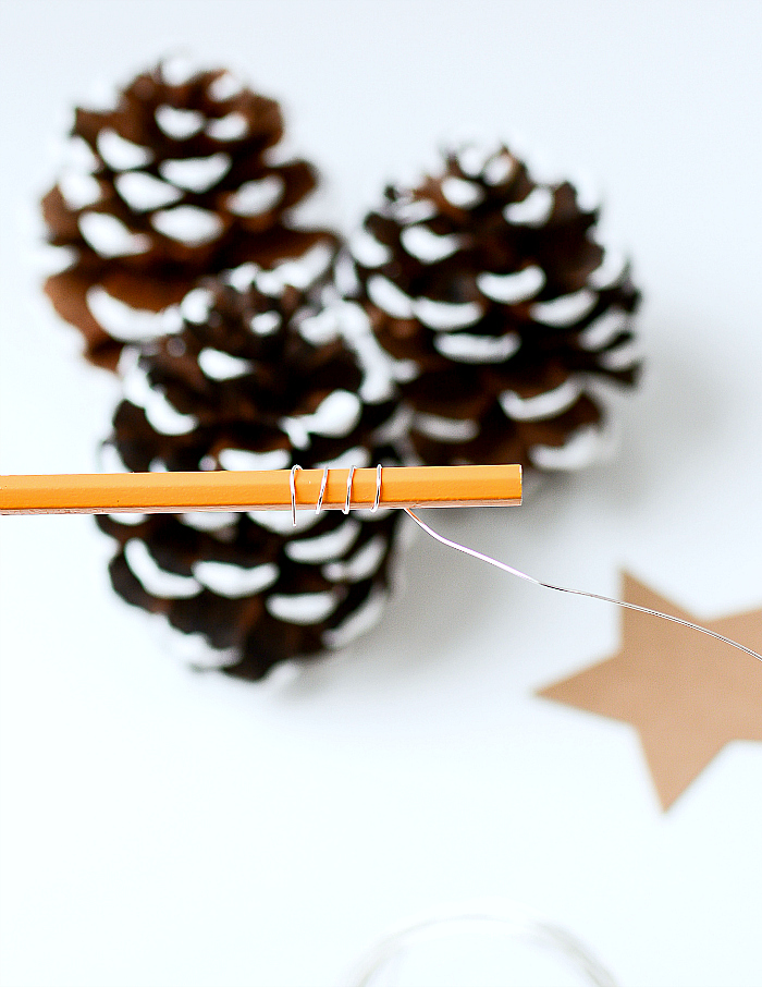 Pine Cone Christmas Tree Place Card Holders