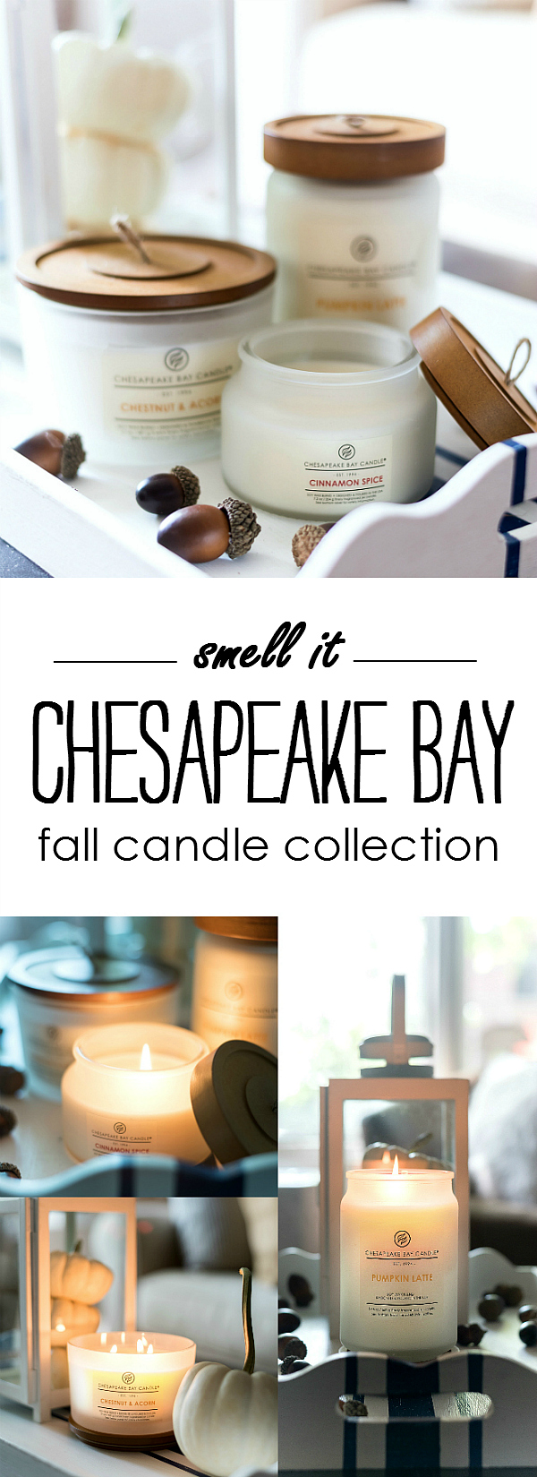 Fall Candle Collection from Chesapeake Bay Candle Heritage Collection - Pumpkin Candle, Cinnamon Candle, Vanilla Candle, Chestnut Candle, Christmas Candle