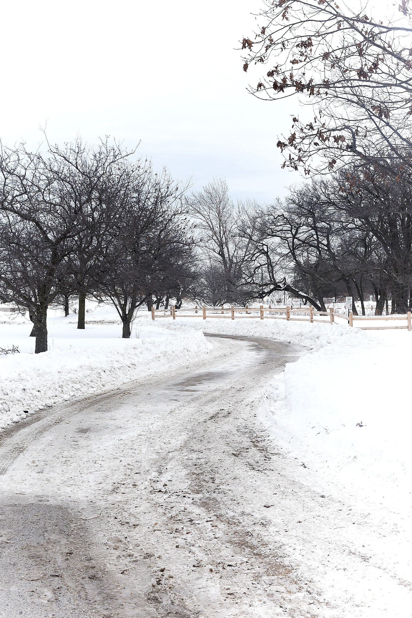 Montrose Beach, Chicago, IL in Winter