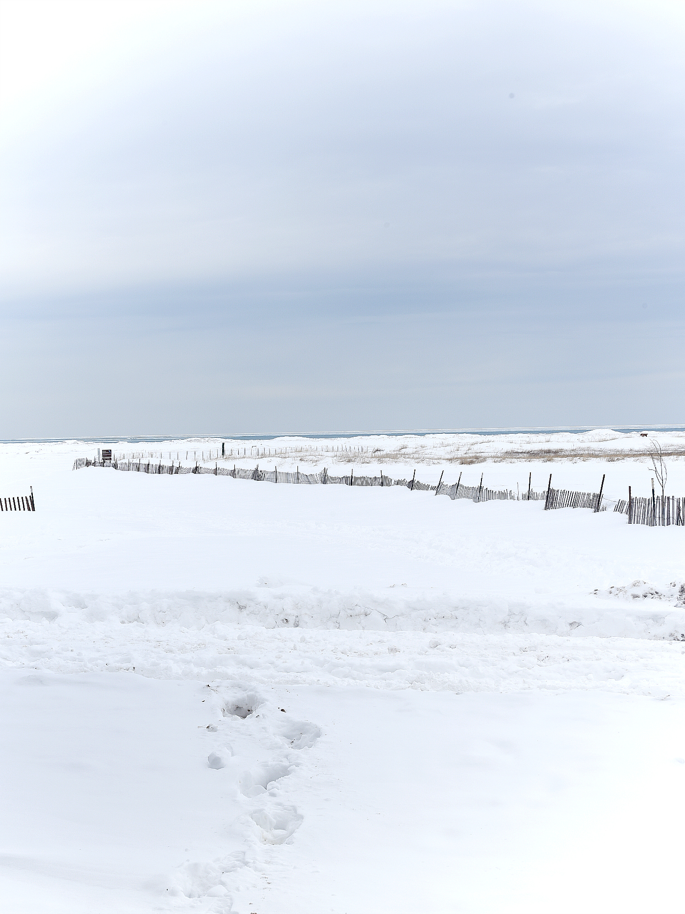 Chicago Lakefront in Winter