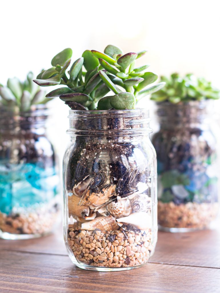 Succulent & Seashell Mason Jar Planter