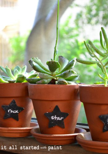 chalkboard-painted-plant-tags