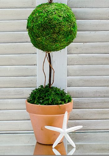 fake-topiary-moss-balls