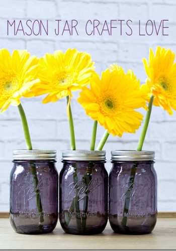 purple mason jar giveaway