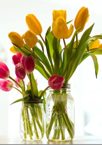 mason jar and tulips