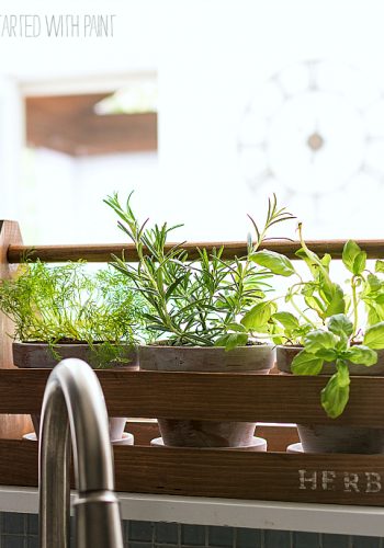 Rustic Tool Box Planter