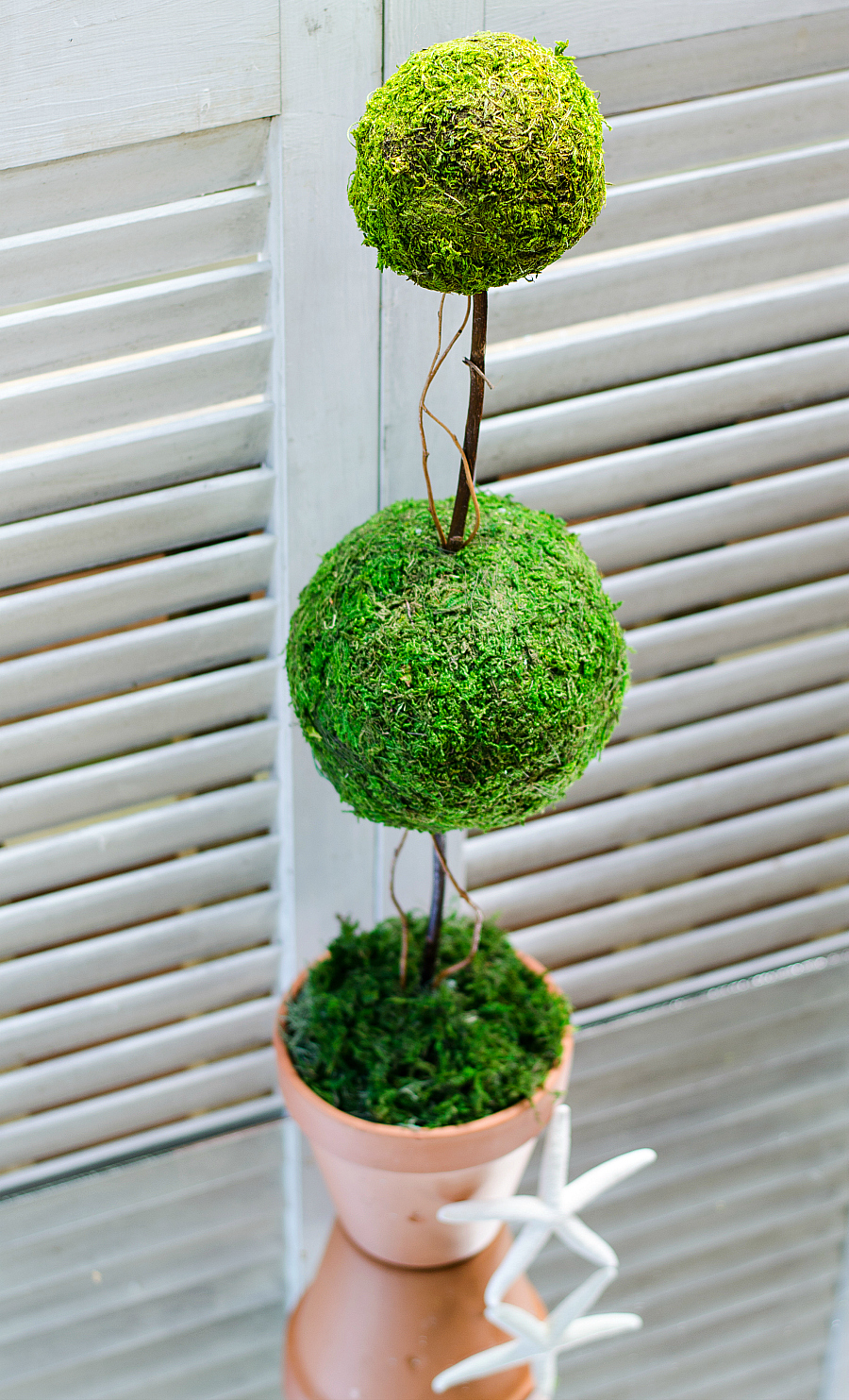 howtomakeatopiary It All Started With Paint