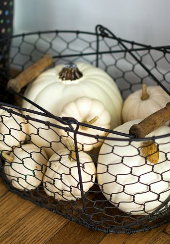 White Pumpkins