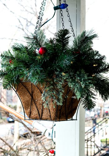 Evergreen Flower Arrangement for Christmas