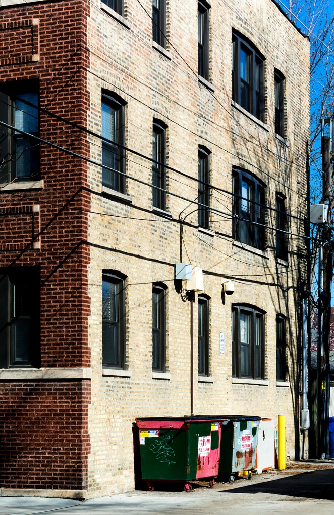 Chicago Lakeview Neighborhood