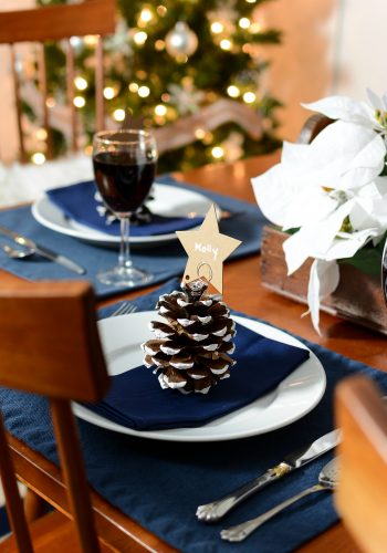 Easy Holiday Place Card Holder with Pine Cones