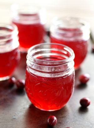 Cranberry Jelly Recipe - It All Started With Paint