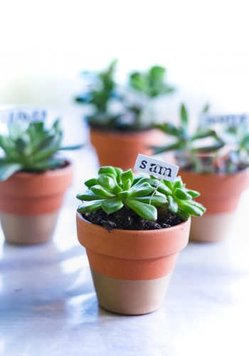 Succulent Place Card Holders - Gold Dipped Terracotta Pots