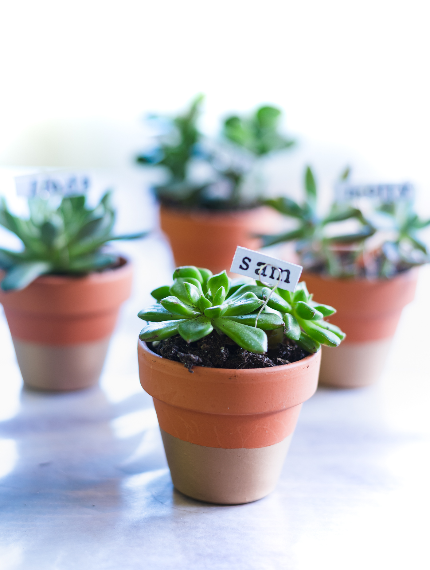 place setting holders