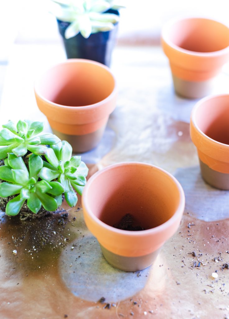 How to Make Succulent Place Card Holder Table Setting