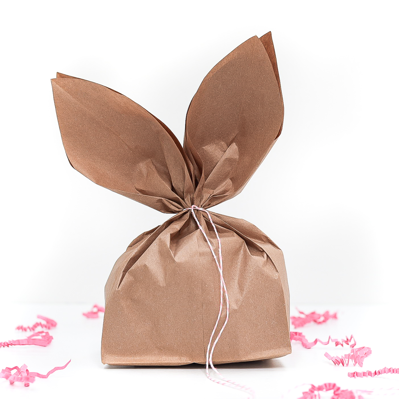 Paper Bag Bunny for Easter It All Started With Paint