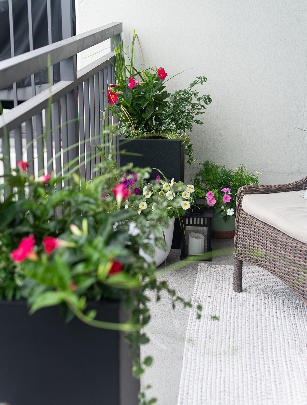 Balcony Container Garden. City Balcony Decorating Ideas. Condo Balcony Decor. Colorful Balcony Ideas with Containers. Chicago Balcony on Lake Shore Drive.