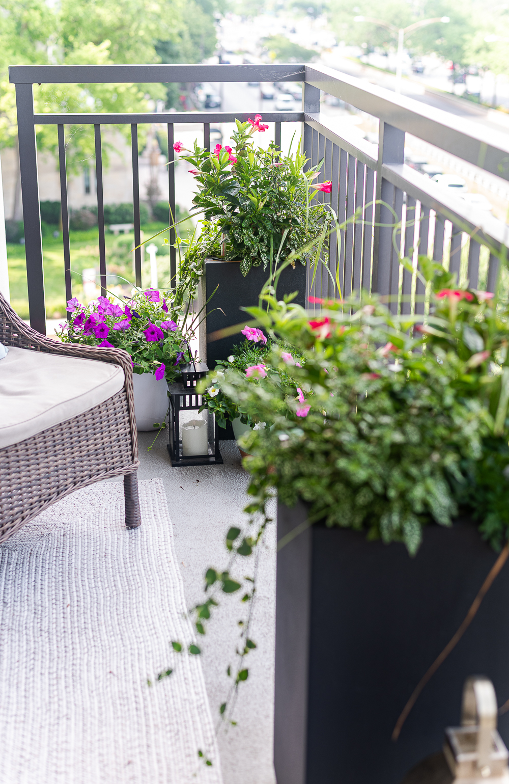 Balcony Container Garden. City Balcony Decorating Ideas. Condo Balcony Decor. Colorful Balcony Ideas with Containers. Chicago Balcony on Lake Shore Drive.